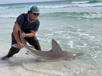 男子抓住沙洲鲨鱼的尾巴